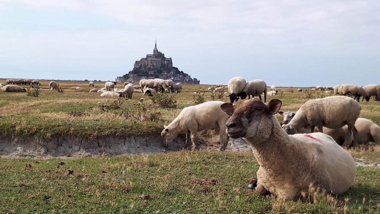 فيلا Le Marite Sartilly-Baie-Bocage المظهر الخارجي الصورة